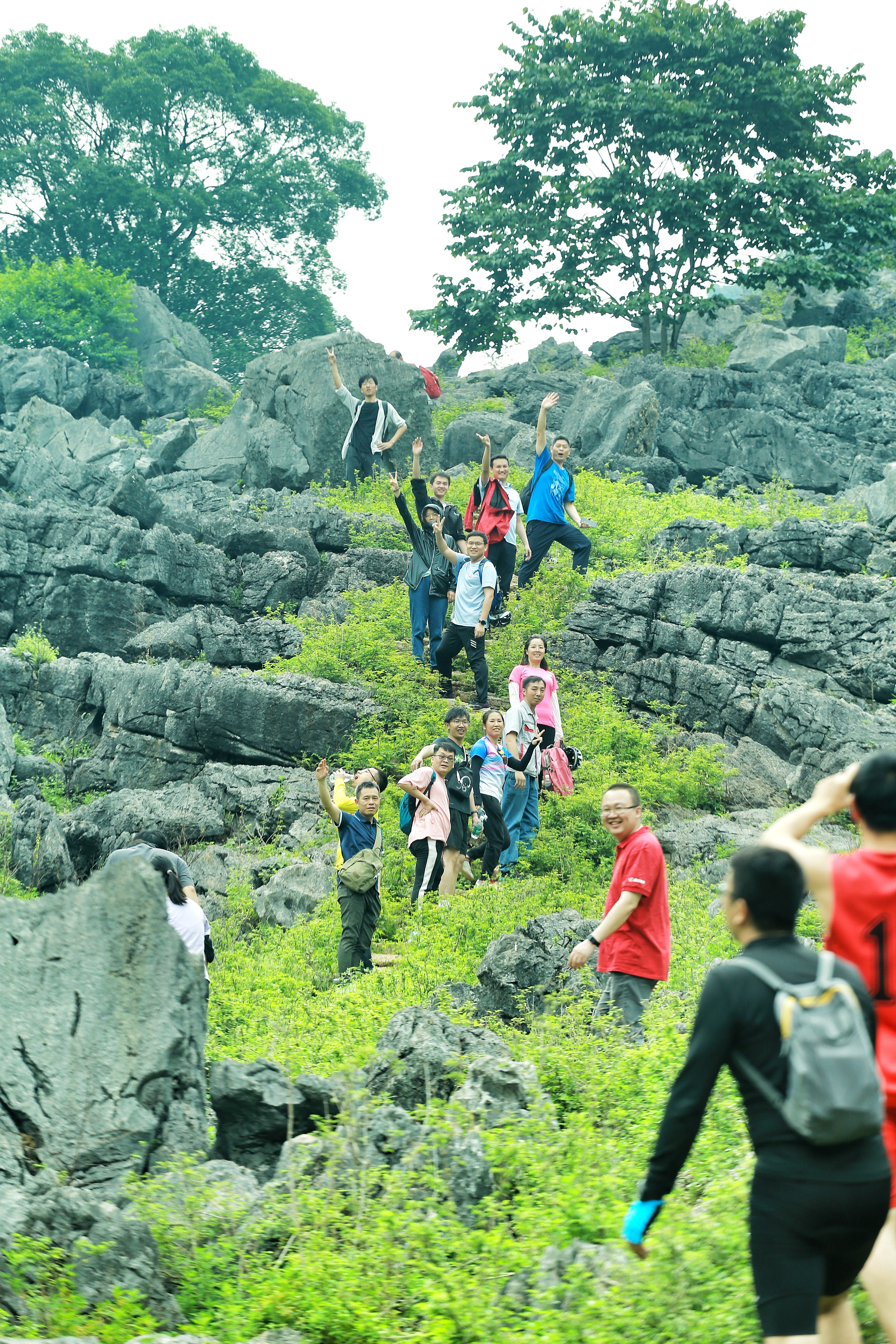 BV伟德国际(中国区)官方网站-BETVLCTOR SPORTS